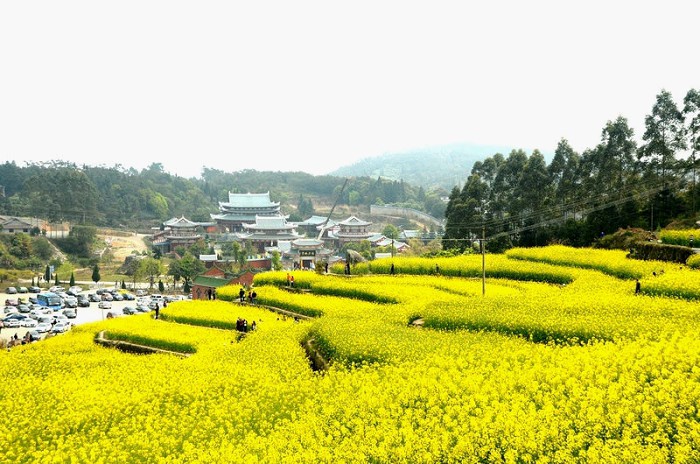 莆田坪人口_莆田坪盘旅游景区