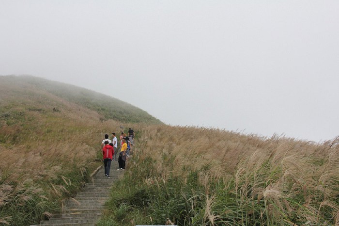 "闽南第一高峰"大芹山生态观光一日自助游招募(10.30)