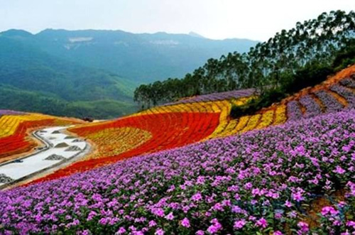 1本周日去摘提子,看花海十里蓝山,九龙瀑布戏水一日互动,名额有限哦